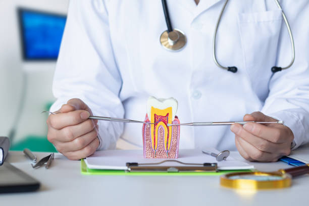 Best Emergency Dental Care for Abscessed Tooth in Santa Rosa, TX